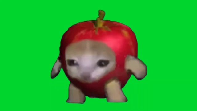 Sad apple cat spinning green screen :) смотреть онлайн