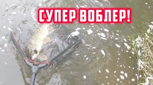 Ловля щуки на лучшый воблер! Стоит поставить spro Iris Underdog 80 и происходят паклёвки трофеев!