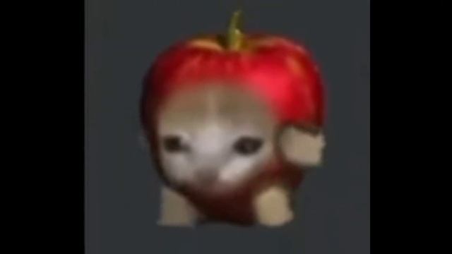Apple Cat Running смотреть онлайн