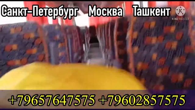 Москва Ташкент автобус смотреть онлайн