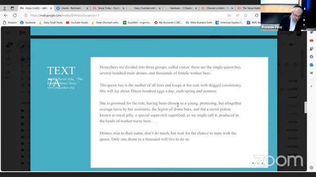 Torah Studies:' Don't be a good person!' смотреть онлайн