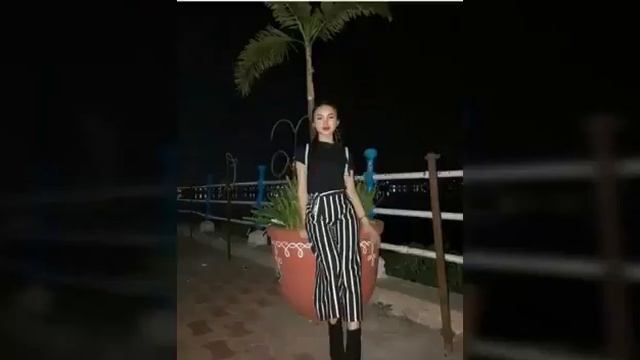 Miss Bunny Vs Sangsangi Macaca Photo Battle 2019