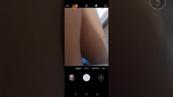 Как пользоваться приложением Proto on Proto?