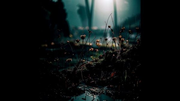 Pavel Lopatin - In the park (Single)