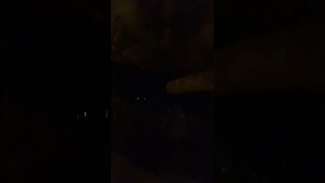 Смена корма в УЗВ смотреть онлайн