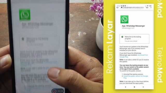 Cara Update Whatsapp ke Versi BETA di Playstore смотреть онлайн