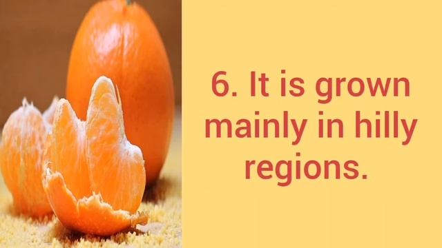 10 Lines On Orange/My Favourite Fruit/Essay On Orange In English Writing смотреть онлайн