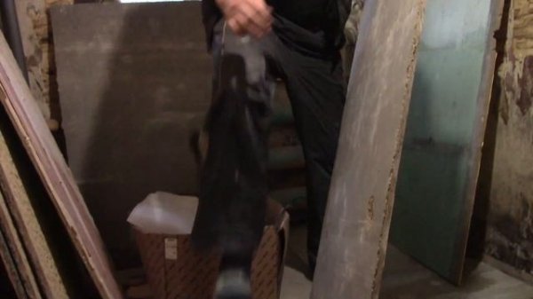 ВАННАЯ КОМНАТА В ЧАСТНЫЙ ДОМ ЧАСТЬ 1/ПОЛ ИЗ ЦСП ПОД ПЛИТКУ