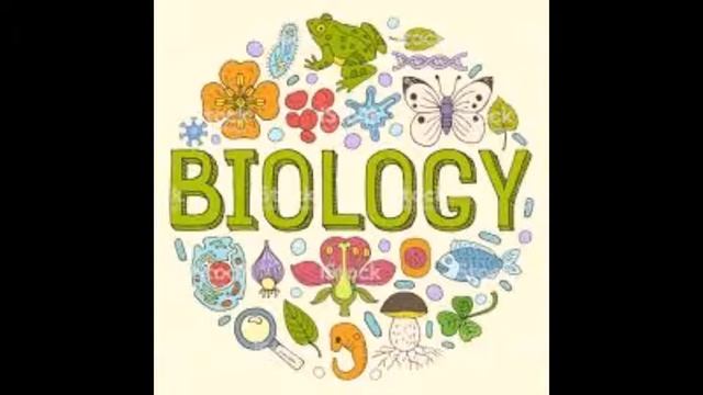 BISES- Biology (Grade 10 B/C) past paper 43/oct/nov 16 (AUDIO) смотреть онлайн