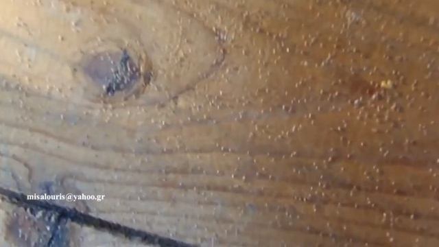 Δύο όπλα για την κόκκινη ψείρα - Elector   Exzolt  Υπολογισμός της δόσης Exzolt (update)