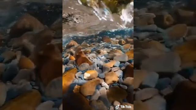 Лучшее видео о природе смотреть онлайн