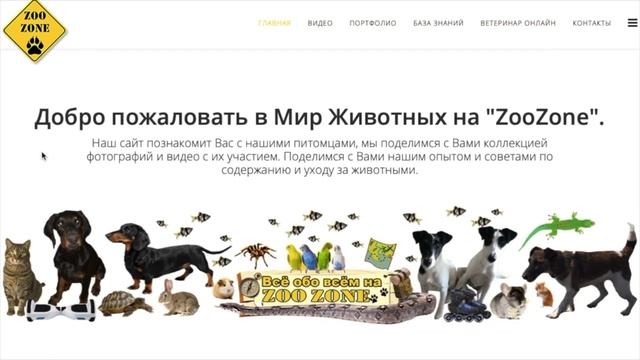🎊🎺✅Хайпим! 🙊🔥🎈 смотреть онлайн