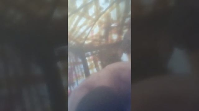 Лесная баня в конце Ноября. смотреть онлайн