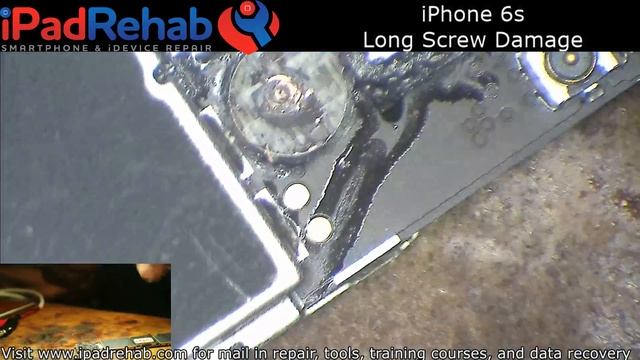 iPhone 6 Digitizer connector with pulled pads смотреть онлайн