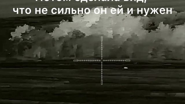 Лисы охотятся на зайцев смотреть онлайн