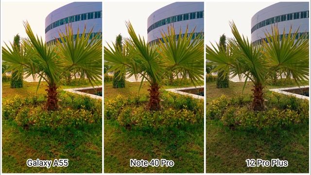 Samsung A55 Vs Infinix Note 40 Pro Vs Realme 12 Pro Plus Camera Test смотреть онлайн