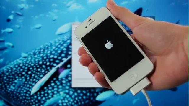 Cách Jailbreak iOS 6.1.3 iPhone 4,3GS & iPod Touch 4 смотреть онлайн