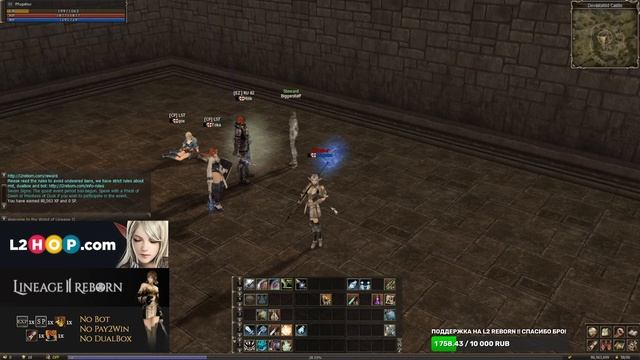 L2 Reborn x1 !! Топим кач саба! Продолжаем тестить новый клиент! We continue to test a new client смотреть онлайн