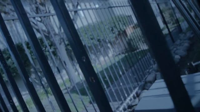 Qball x Mac Lo -Long Money (ft Rahb Stickemm, Rich Stickemm смотреть онлайн