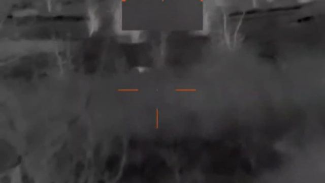 10. Охота на шакала в Ростовской области продолжается. Карабин CZ 557 .308win, прицел Guide TR 430 смотреть онлайн