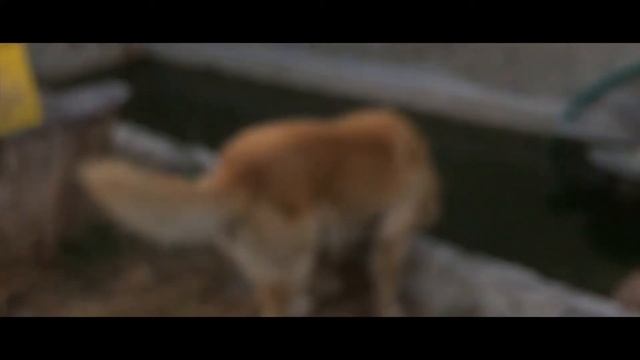 Zhiyun Smooth 4 Test With Iphone 6s смотреть онлайн