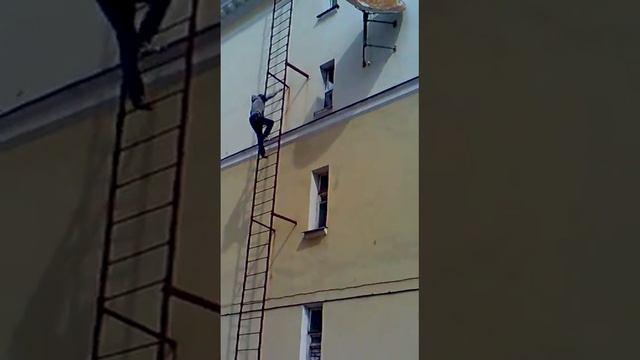 Нарик лезет в окно)0 смотреть онлайн