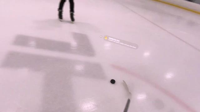 HOCKEY WITH AN APPLE VISION PRO смотреть онлайн