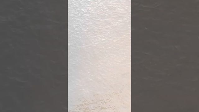 Безумный трюк на мосту #parkour #freerunning смотреть онлайн