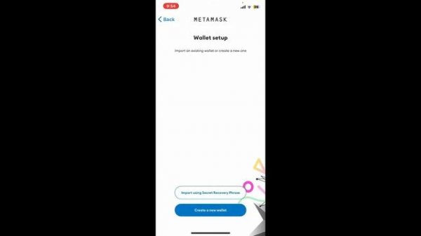 How To Import Trust Wallet Into Metamask 2024?