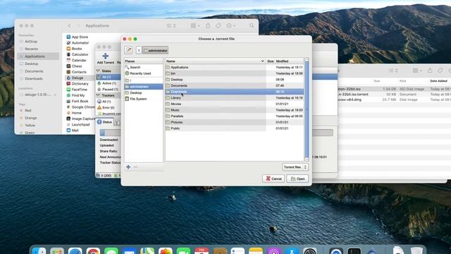 Deluge 1.3.15.1 on Apple Silicon Mac смотреть онлайн
