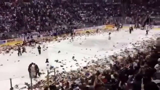 Миллион медведей атаковало хоккейный корт