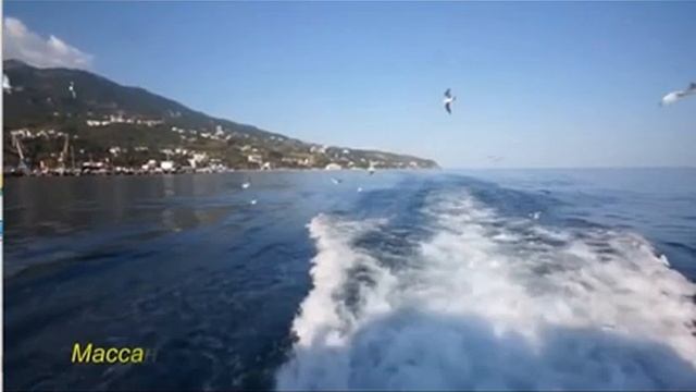 благостное крымское утро..., Стихи Тутов Сергей, муз. и исп. #СамуилФрумович смотреть онлайн