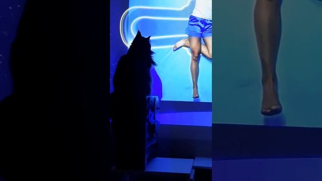 Маруся смотрит кино.