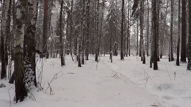 Полевая кухня: Макарошки с копченостями смотреть онлайн
