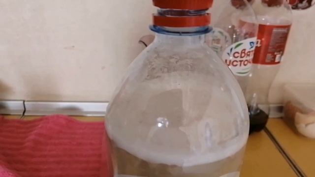 Странные сны. Дрожжевая подкормка. Готовлю чесночные стрелки. Беларусь. смотреть онлайн