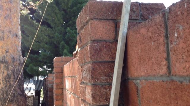 Олмахон курганмисизлар смотреть онлайн