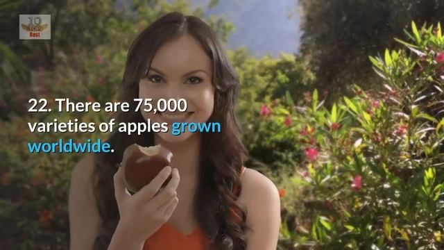 Top 40 Interesting Apple Facts - Amazing Apple Facts смотреть онлайн