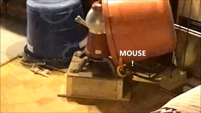 Copy of MIghty Mouse 2232016 смотреть онлайн