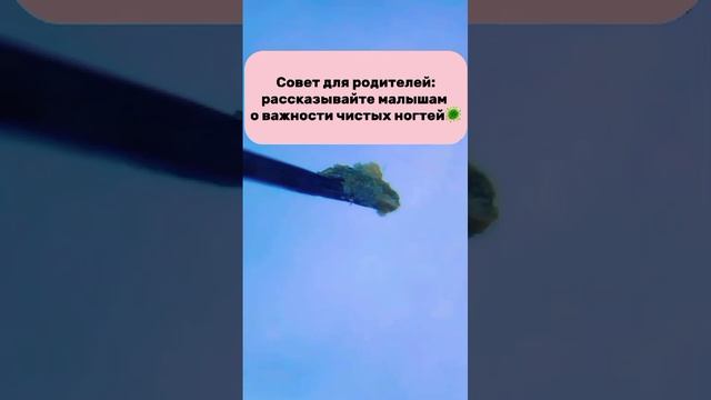 VID-20241012-WA0000.mp4