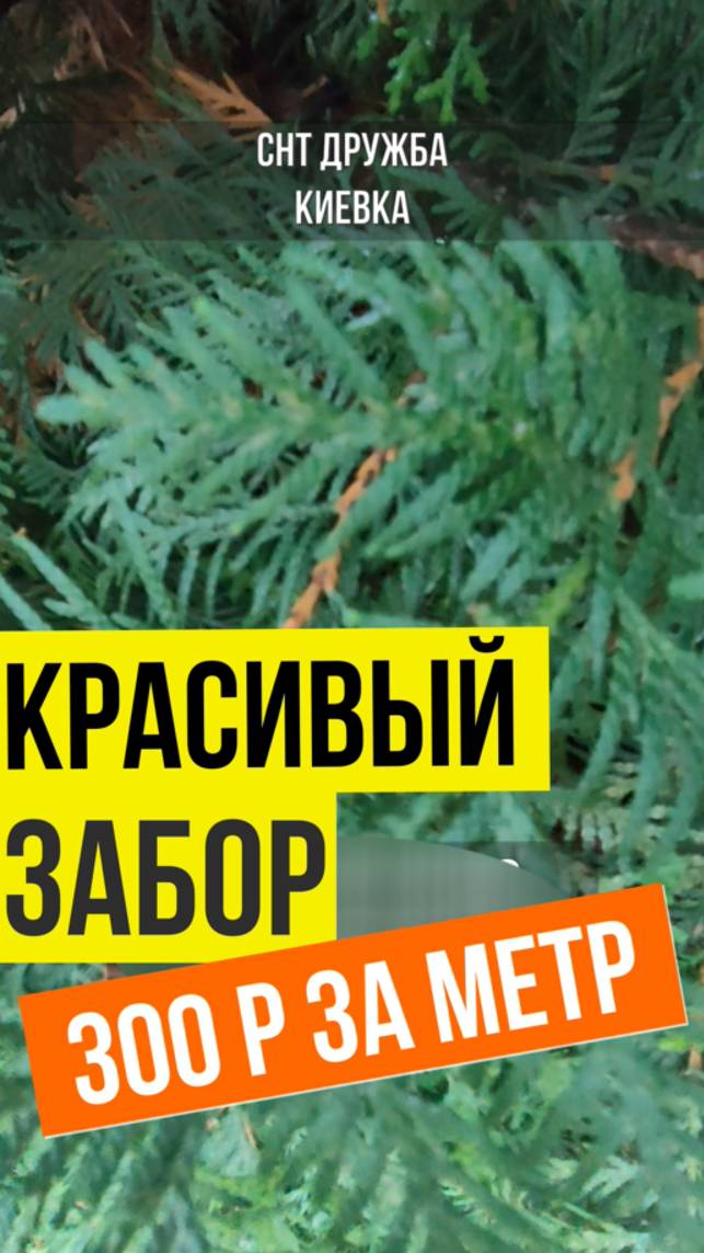 Красивый забор за копейки, но долго ждать смотреть онлайн