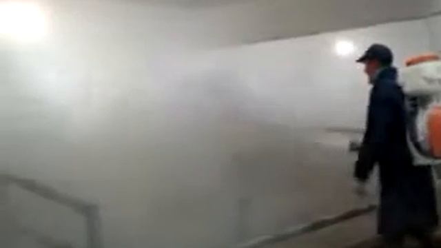 Любисан-ЭКО, в Калининградской области. смотреть онлайн