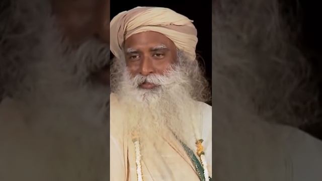 Каждый человек обладает всем необходимым для жизни.. #осознанность смотреть онлайн