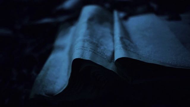 Превью к фильму "Не буди Лихо" (2023) смотреть онлайн