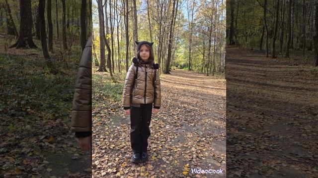 Лиса Алиса с белочкой