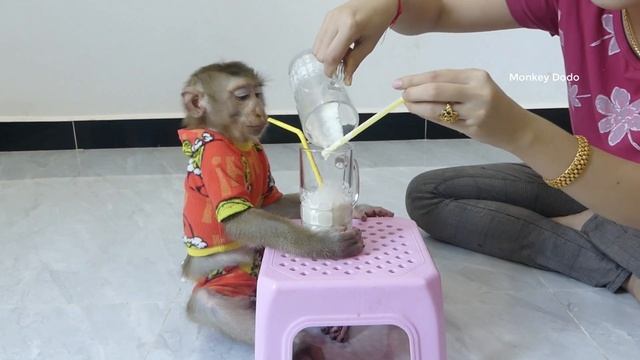 Master Chief Donal Make Apple Milkshake With Best Cows Condensed Milk смотреть онлайн