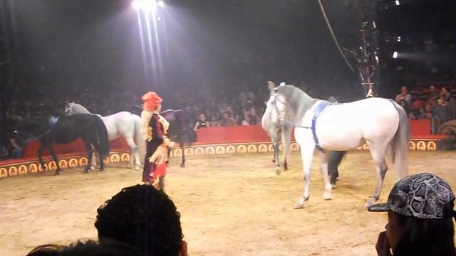 Big Apple Circus 2013 (Horse Act) смотреть онлайн
