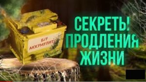 Как Вернуть Старому Аккумулятору Вторую Жизнь и Сэкономить Деньги!