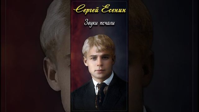 Звуки печали - Сергей Есенин (читает Расул Давлетов) #shorts смотреть онлайн