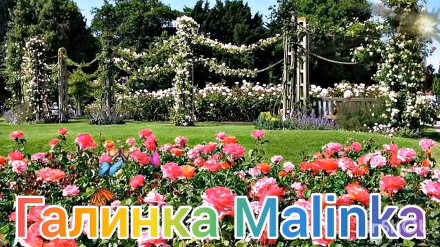 Ольга Уралочка live / Готовы на все за трусы от Василька /Обзор Влогов /Уралочка и Сафар /Хомячки / смотреть онлайн