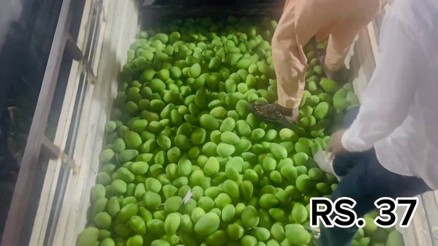 #mango #apple #fruit #agriculture #farming #marketing #follow #karimnagar #hyderabad #india #follow смотреть онлайн